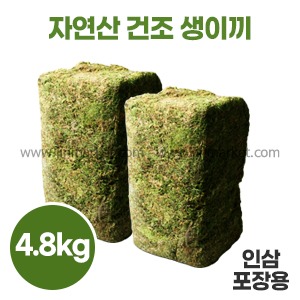 생이끼 A급(1box/4.8kg)　